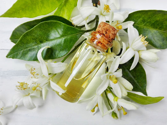 blog-aromatherapie-oele-2